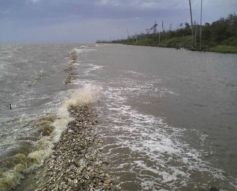 Oyster breakwater installed as part of the 2012 Swift Tract living shoreline project along Bon Secour Bay, AL (Image: Robert Constantini, The Nature Conservancy)